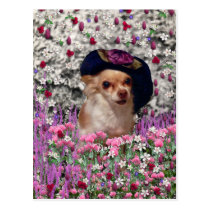 Chi Chi in Flowers Postcard - Chihuahua postcards