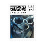 Chi Dog Postage postage