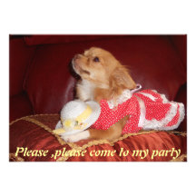chi party invitation