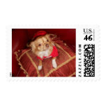 chi stamp
