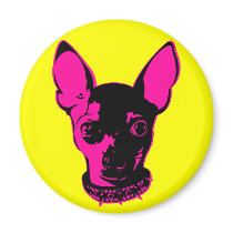 Chi-Warhol magnets