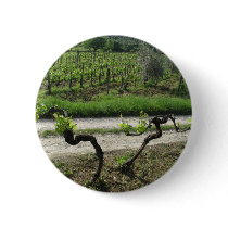 Chianti Vineyard in Tuscany Wine Region Italy Pinback Buttons