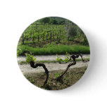 Chianti Vineyard in Tuscany Wine Region Italy Pinback Buttons