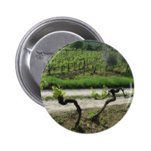 Chianti Vineyard in Tuscany Wine Region Italy Pinback Buttons