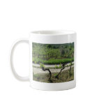 Chianti Vineyard in Tuscany Wine Region Italy Mugs