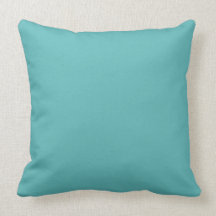 chic pillow,35/45 solid