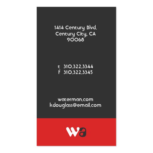 CHICAGO - B101 BUSINESS CARD TEMPLATE (back side)