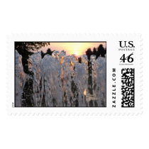 Chicago Botanic Garden Fountain postage