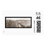 Chicago Cubs Baseball Photo 1904 Stamp