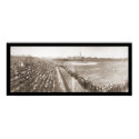 Chicago Cubs Baseball Photo 1904 posters by lc_panoramicphotos Chicago Cubs Baseball Photo 1904 posters