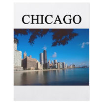 CHICAGO illinois flyers