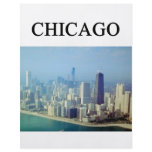 CHICAGO illinois Custom Flyer
