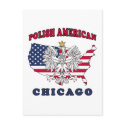 Chicago Illinois Polish postcards