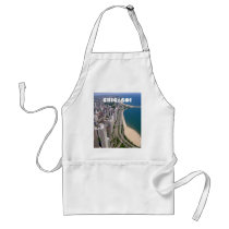 Chicago panoramic view apron