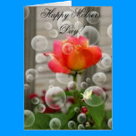 Chicago Peace Happy Mothers Day cards