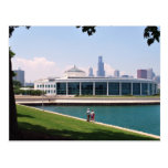 Chicago Shedd Aquarium collection Post Card
