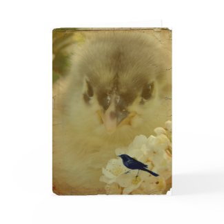 Chick card