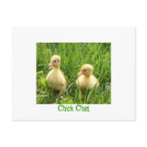 Chick Chat postcards