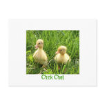 Chick Chat postcards