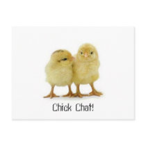 Chick Chat! postcards by trish1968 Chick Chat! postcards
