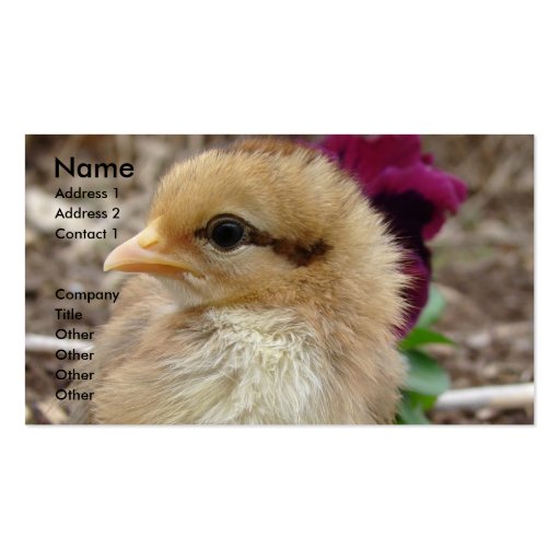 Chick in the Garden Business Card Template