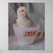 Chick in Vintage Teacup Print
