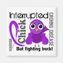 Chick Interrupted 3 Crohn's Disease Refrigerator Magnets