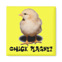 Chick Magnet by nuclearswan Chick Magnet