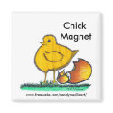 Chick Magnet