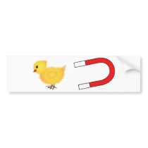 Chick Magnet Bumper Sticker