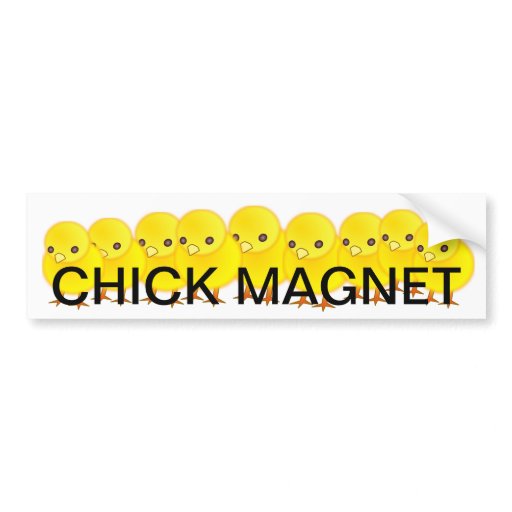 chick bumper sticker car bumper sticker Zazzle