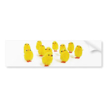 Chick magnet chillin with my peeps funny photo bumper sticker