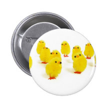 Chick magnet chillin with my peeps funny photo pinback button