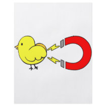 Chick Magnet flyers