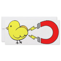 Chick Magnet rack cards