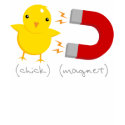 Chick Magnet! t-shirts