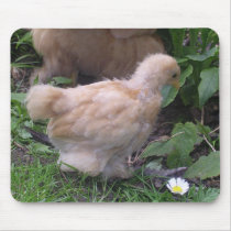 chick mousepads