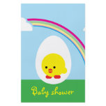 Chick ’n chicks flyers