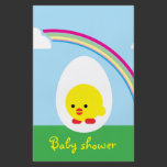 Chick ’n chicks flyers