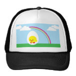 Chick ’n chicks hats