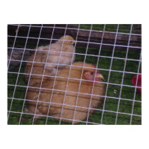 CHICK ON TOP OF MUM posters