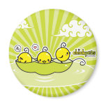 Chick-peas magnet magnets