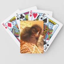 Chick Playing Cards