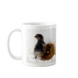 Chick With Nest Coffee Mugs