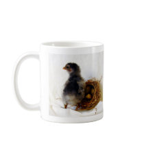 Chick With Nest Coffee Mugs