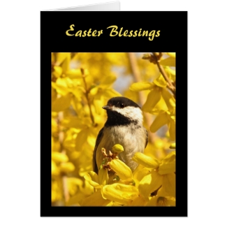 Chickadee Bird in Yellow Flowers Easter