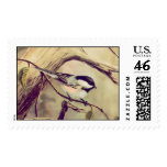 CHICKADEE by SHARON SHARPE postage