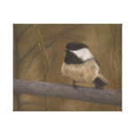 Chickadee Stretched Canvas Print
