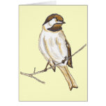 Chickadee Card cards