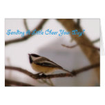 Chickadee Cheer cards